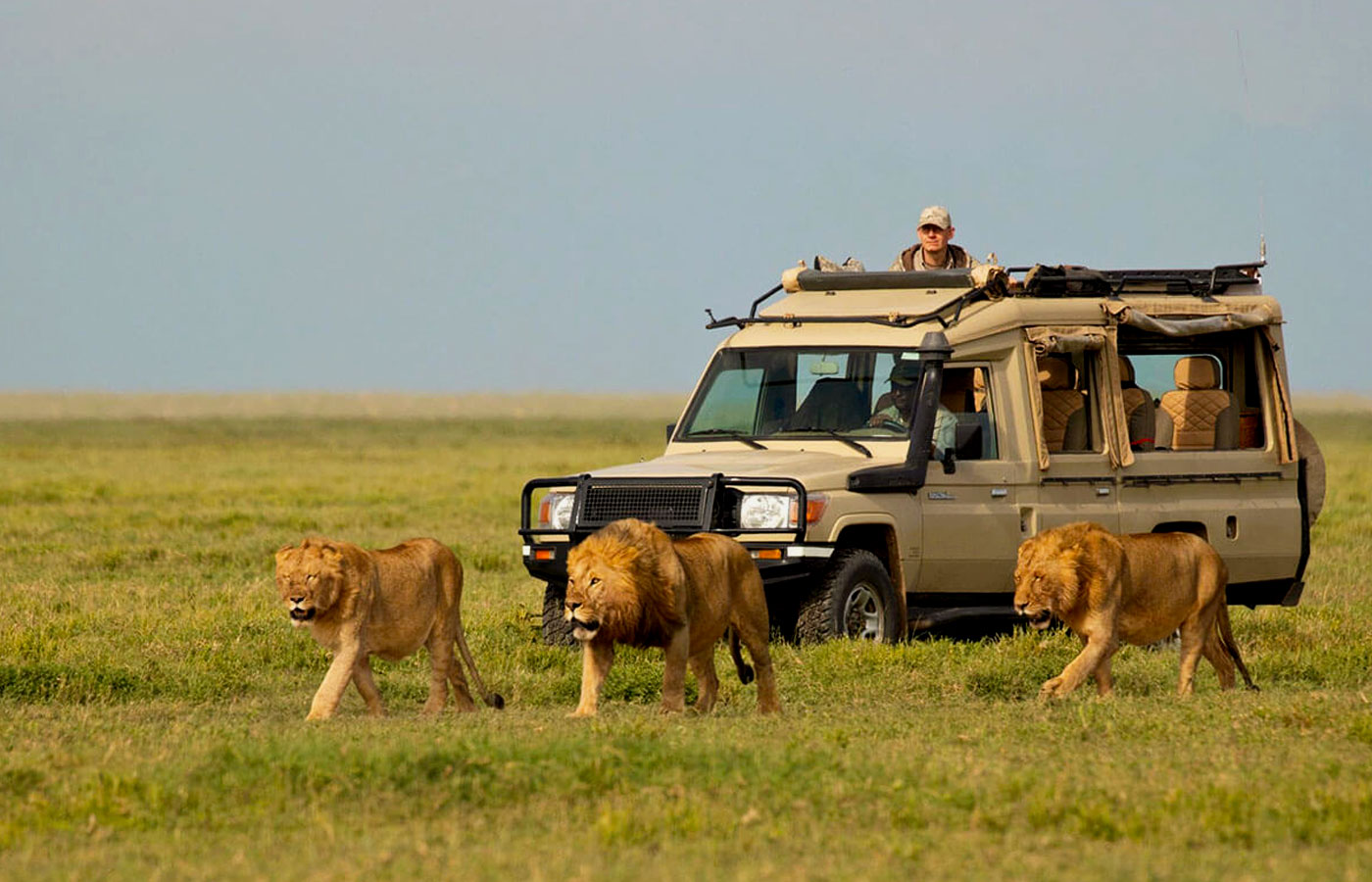 6-days-tanzania-northen-circuit-safari