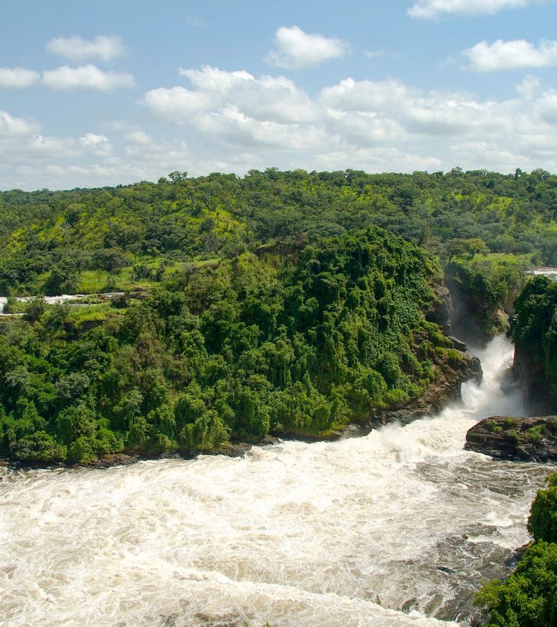 6-days-gorillas-and-murchison-falls-national-park-safari