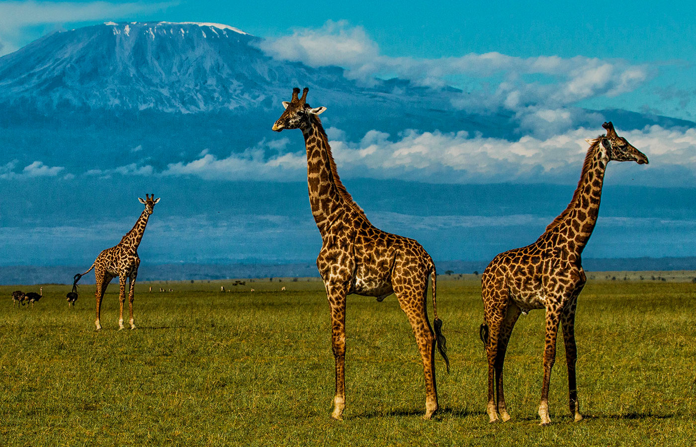 3-days-amboseli-safari-holiday