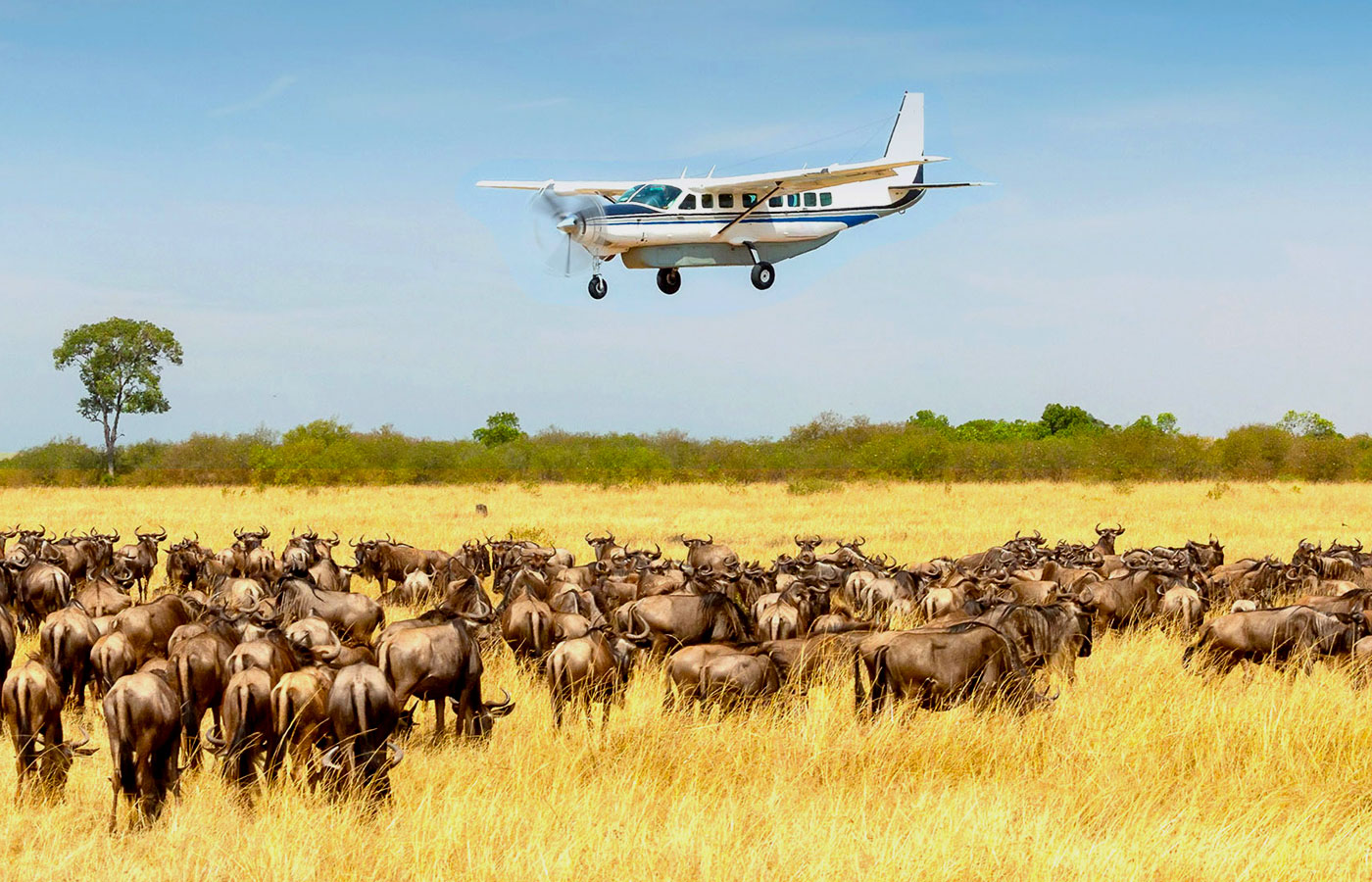 3-days-fly-in-safari-serengeti-holiday