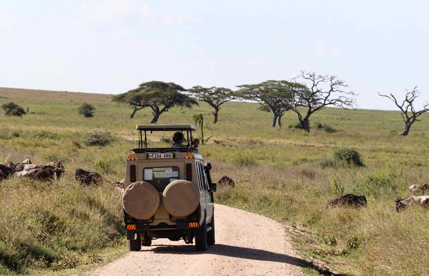 13-days-tanzania-safari-zanzibar-holiday