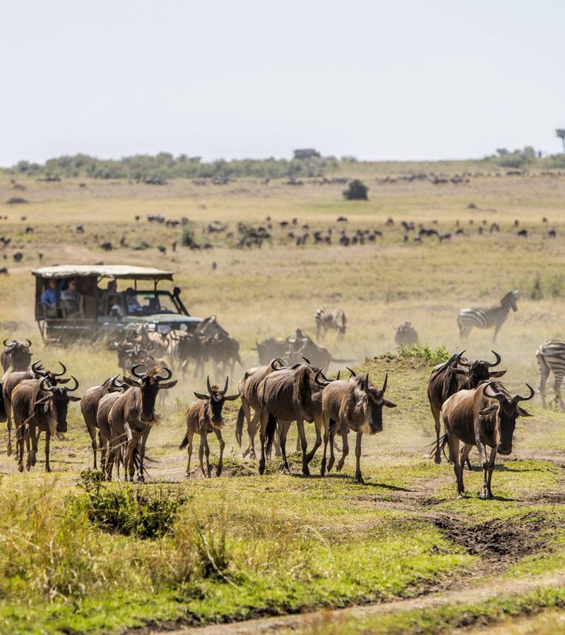 6-days-masai-mara-serengeti-safari-holiday