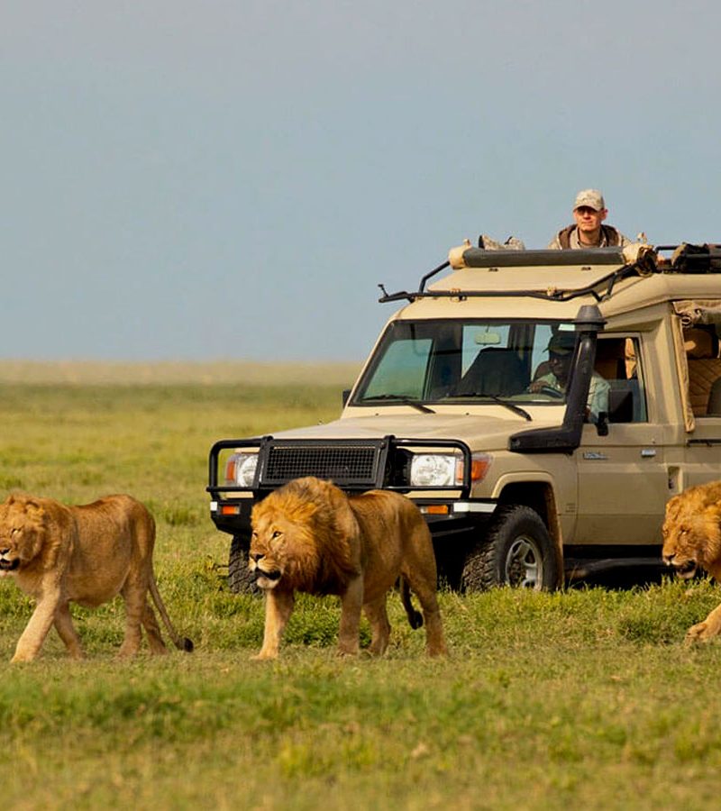 6-days-tanzania-northen-circuit-safari