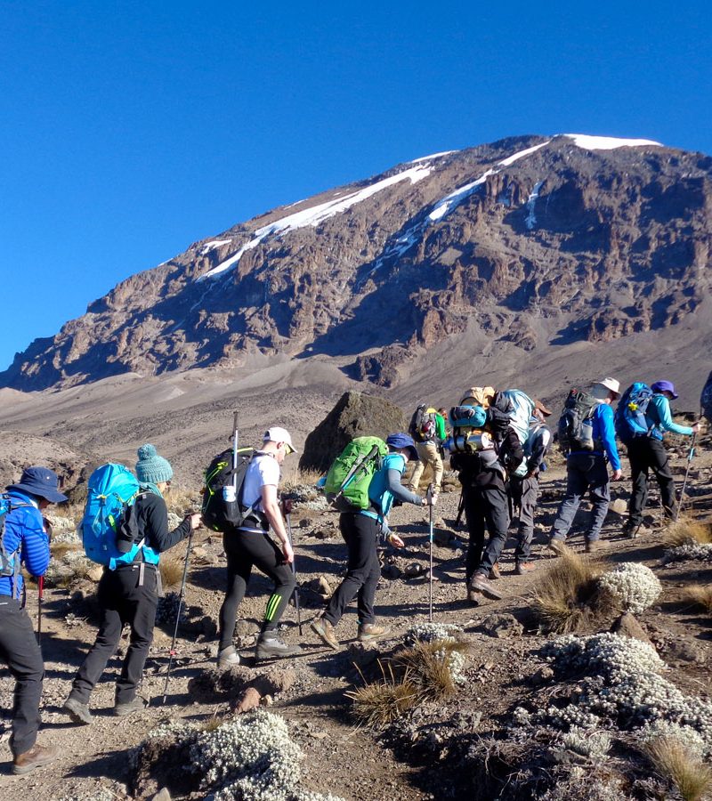 8-days-climbing-kilimanjaro-marangu-route