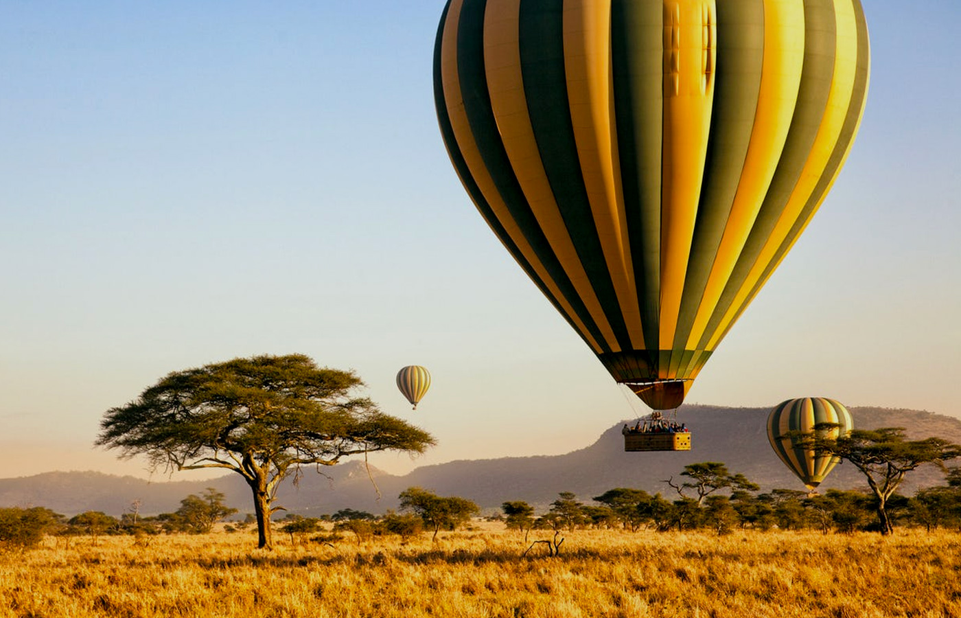 8-days-flying-safari-in-tanzania