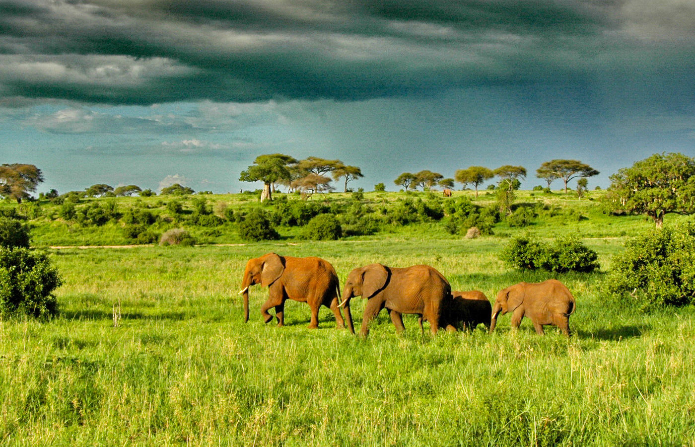 8-days-tanzania-holiday